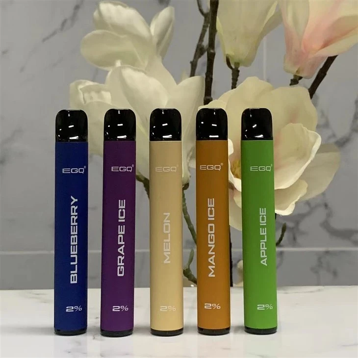 Stylish Stainless Steel Disposable Vape - 600 Puffs Svape