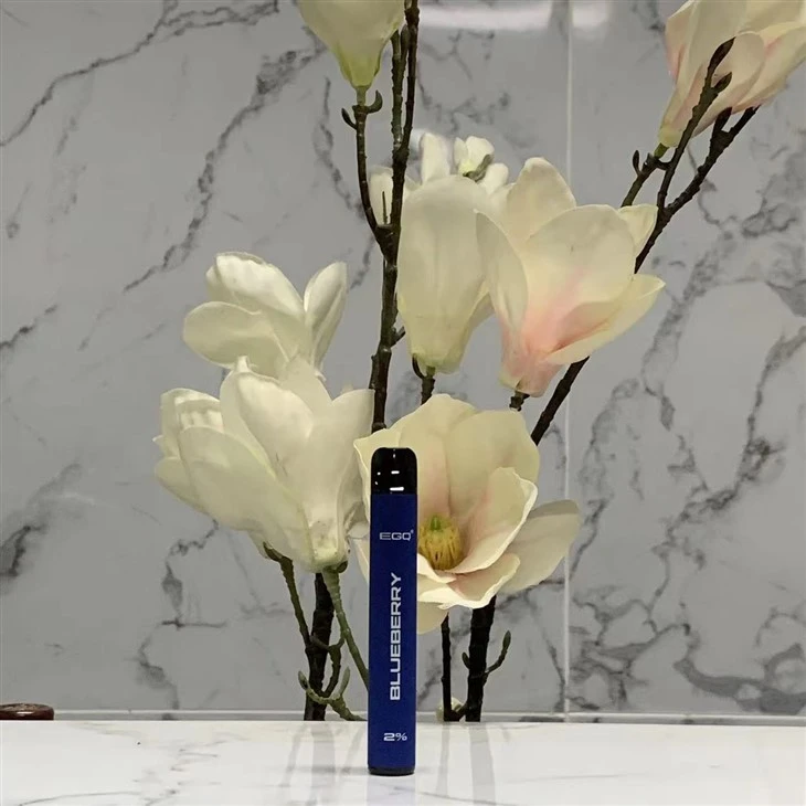 Stylish Stainless Steel Disposable Vape - 600 Puffs Svape